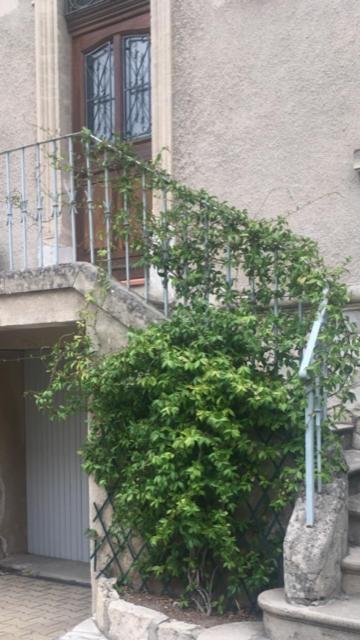 Chez Catherine Arles Exterior photo